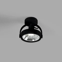 Foco de techo orientable