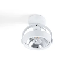 Foco de techo orientable