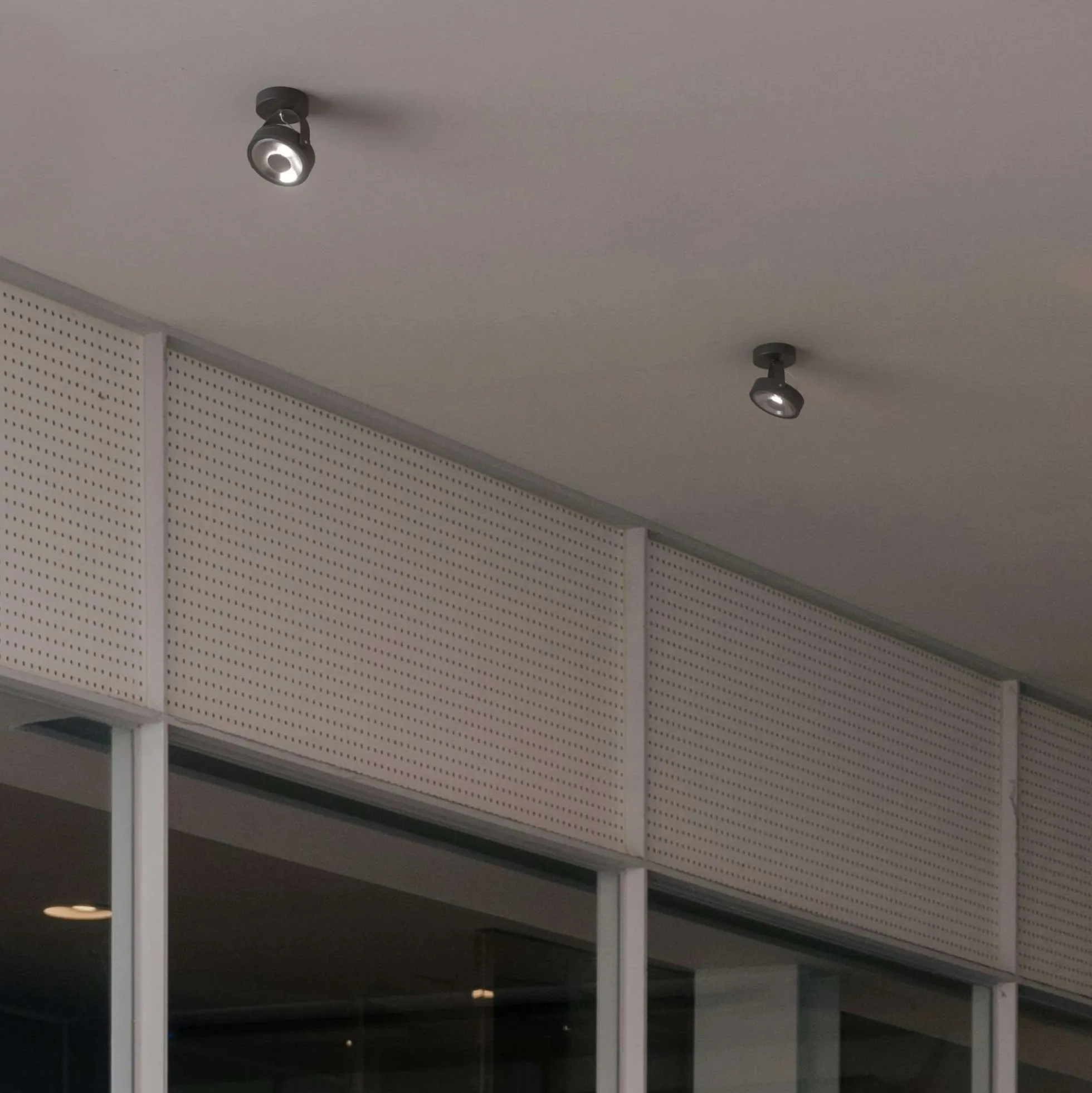 Foco de techo orientable "IRIS" + Bombilla AR111 GU10
