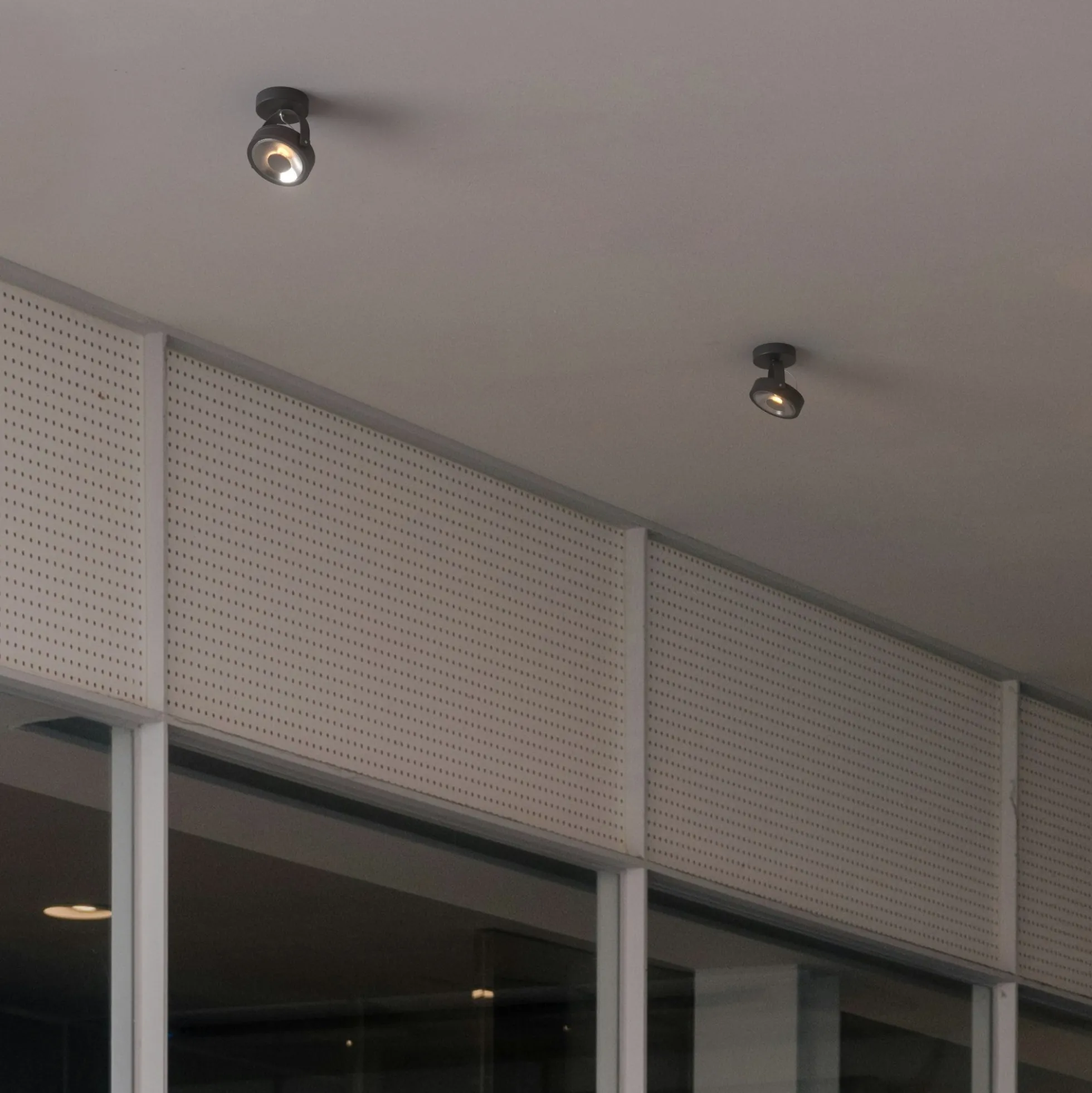 Foco de techo orientable "IRIS" + Bombilla AR111 GU10