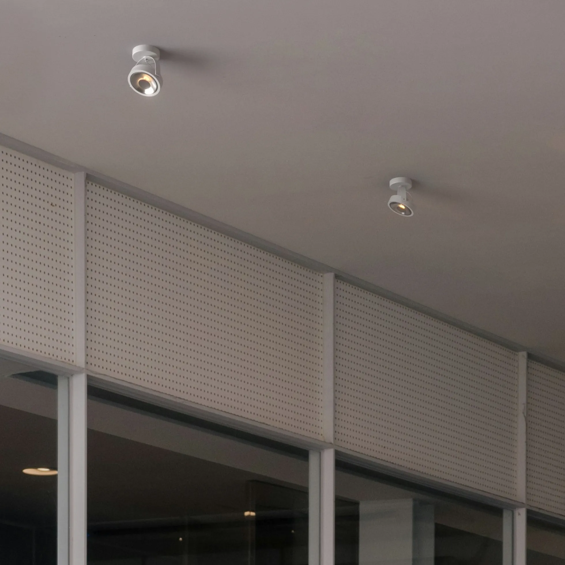 Foco de techo orientable "IRIS" + Bombilla AR111 GU10