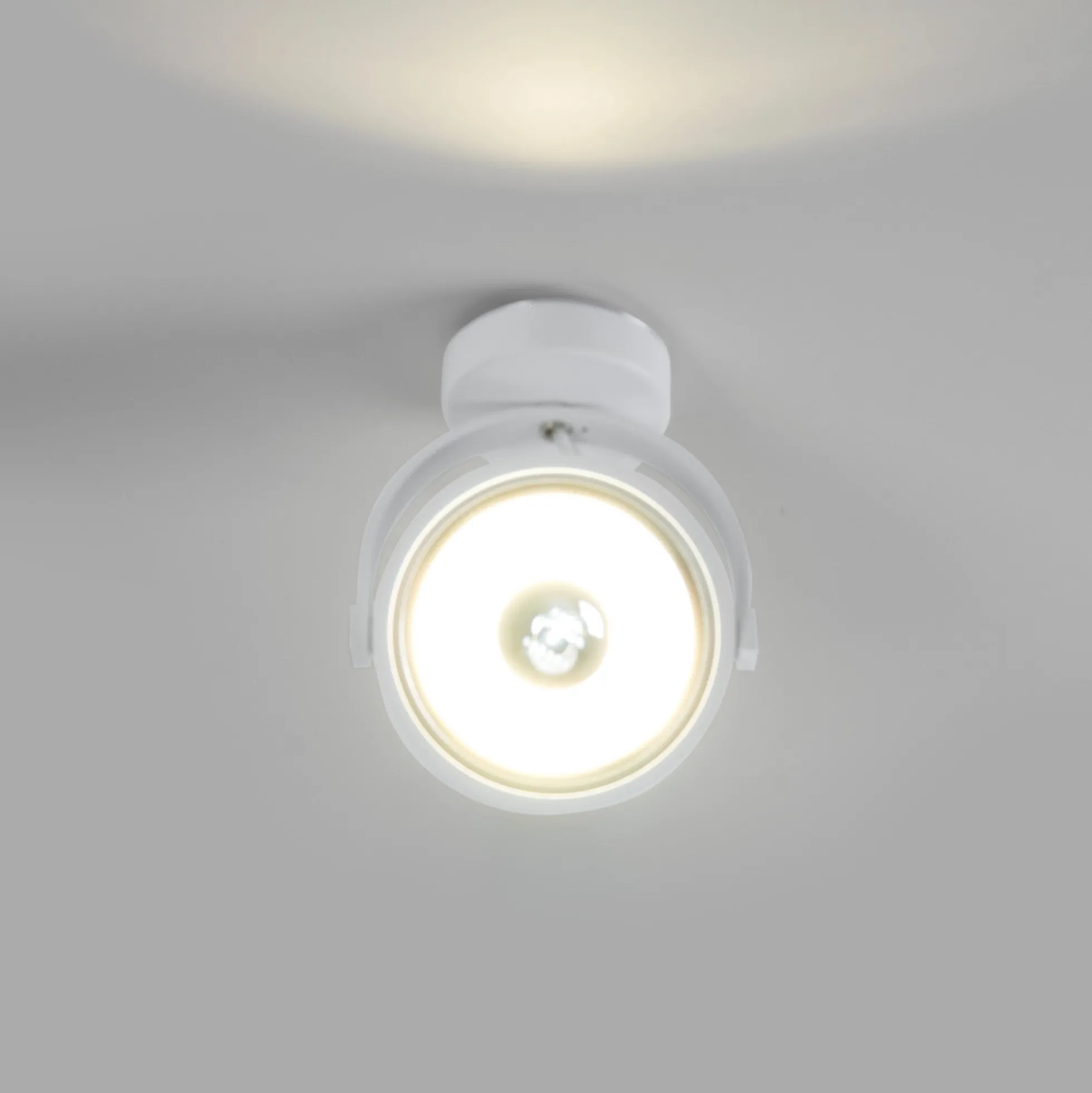 Foco de techo orientable "IRIS" + Bombilla AR111 GU10