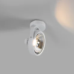 Foco de techo orientable