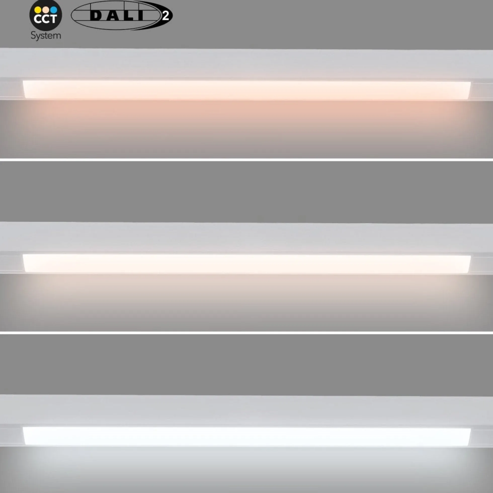 Foco lineal opal carril magnético 48V CCT - 20W - DALI regulable