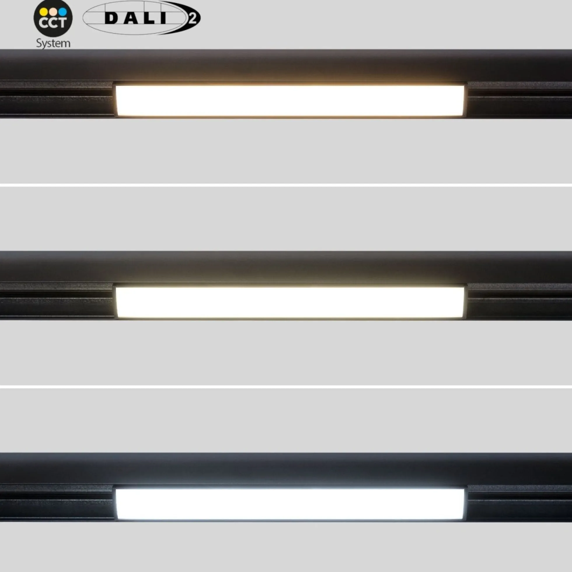 Foco lineal opal para carril magnético 48V CCT - 12W - DALI-2 regulable