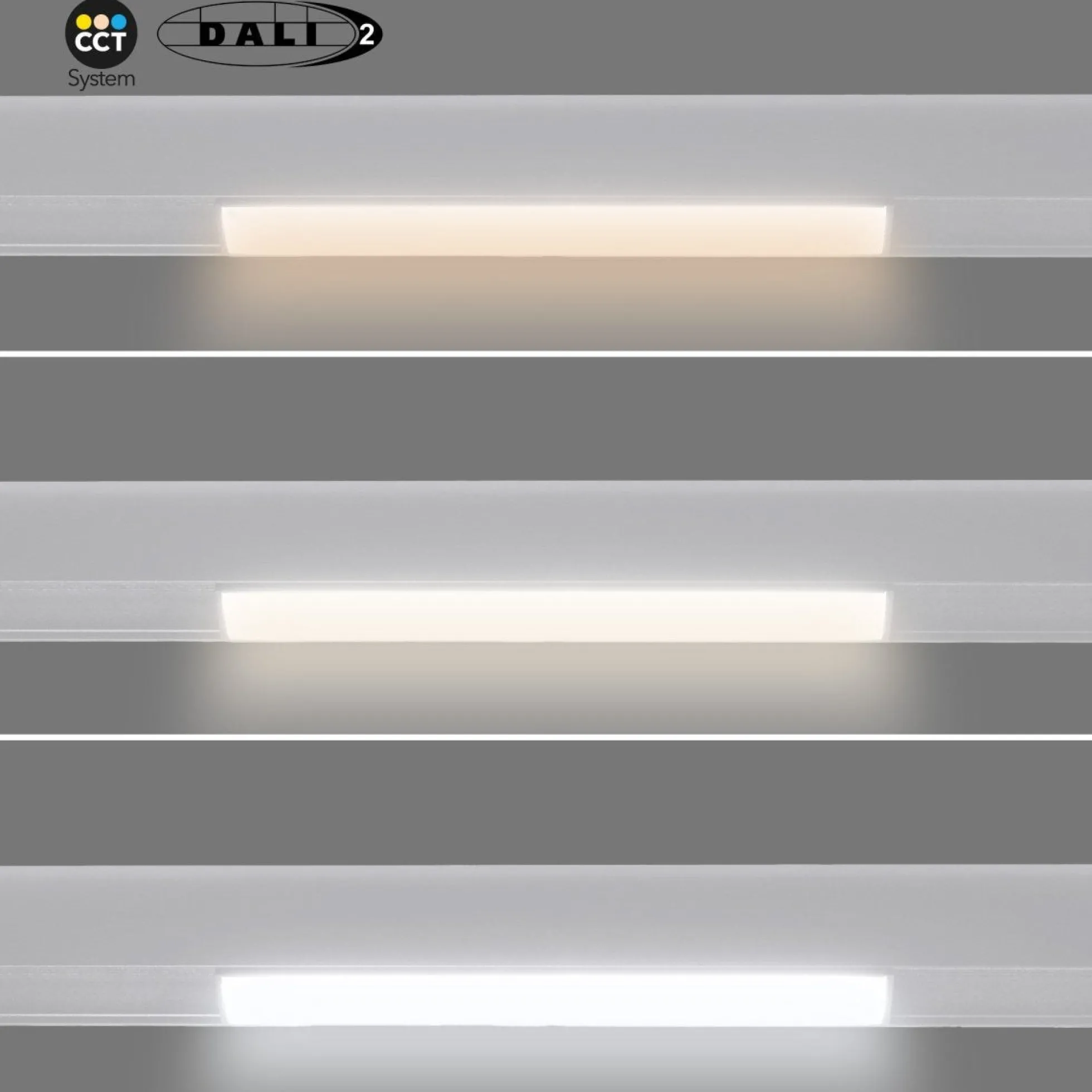 Foco lineal opal para carril magnético 48V CCT - 12W - DALI-2 regulable