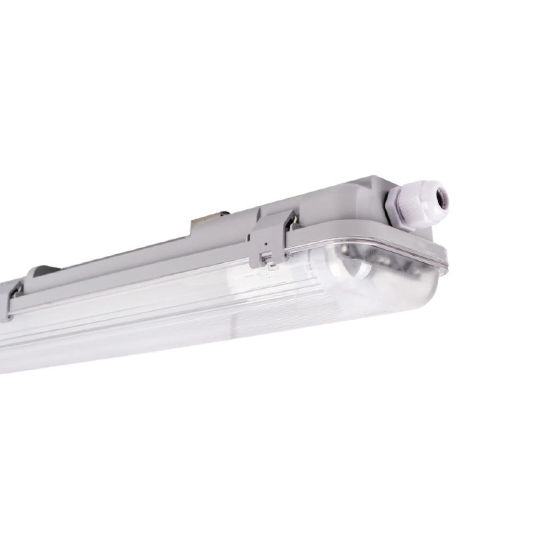 Kit pantalla estanca doble 150cm + 2 tubos LED T8 24W - 6000K