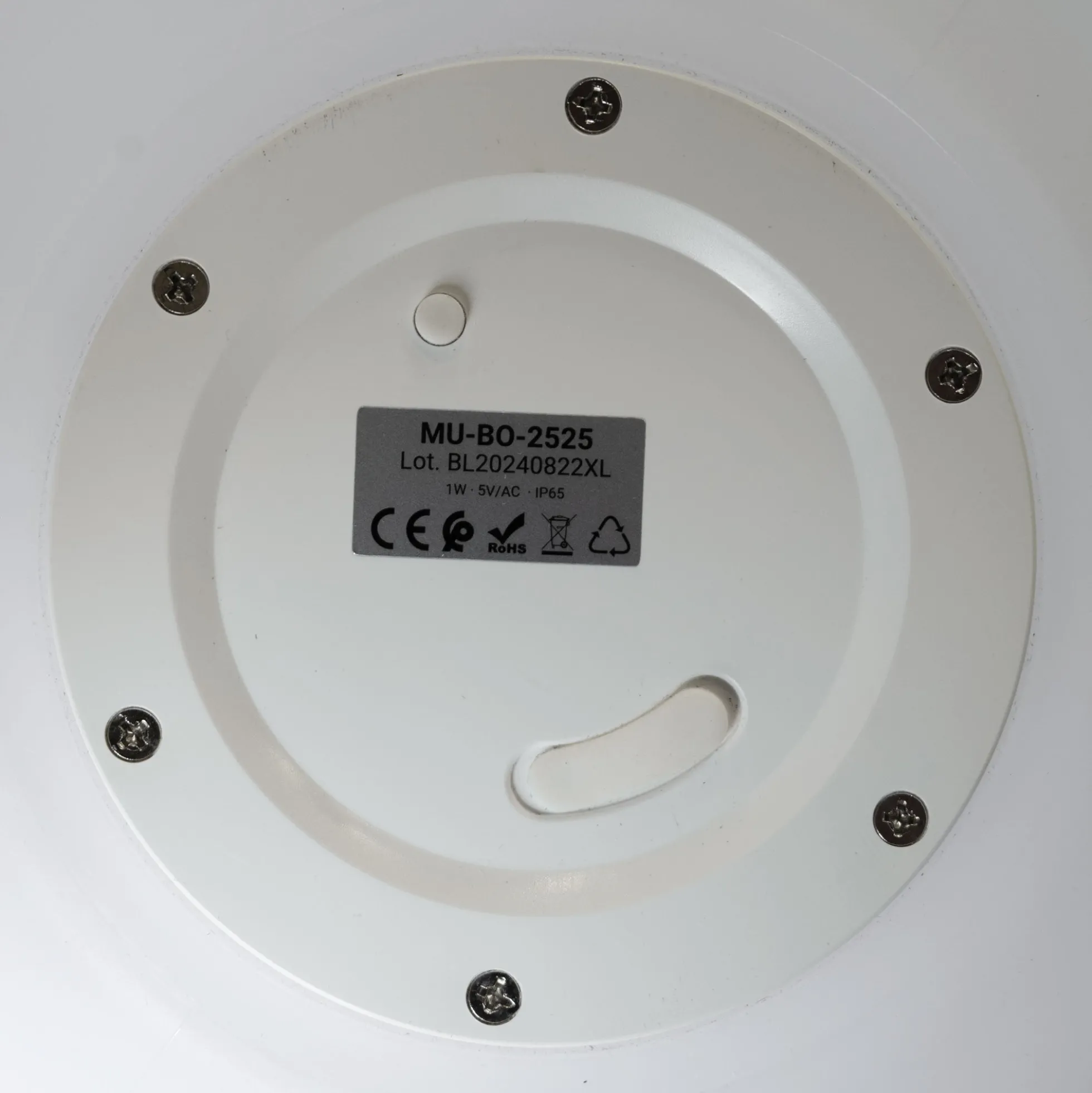 Lámpara de mesa o suelo esfera exterior - RGBW - 1W - Ø25cm - Recargable