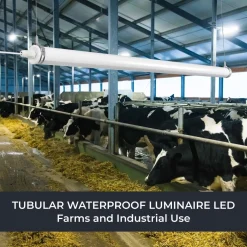 Luminaria estanca tubular para uso industrial - 150cm - 50W - 6900lm - IP65 - IK10