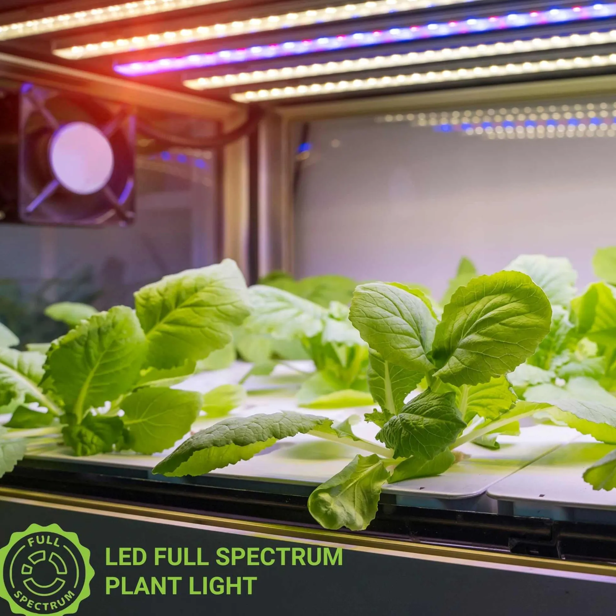 Luminaria LED de cultivo interior - 250W - Regulable 0-10V - Grow light Full Spectrum