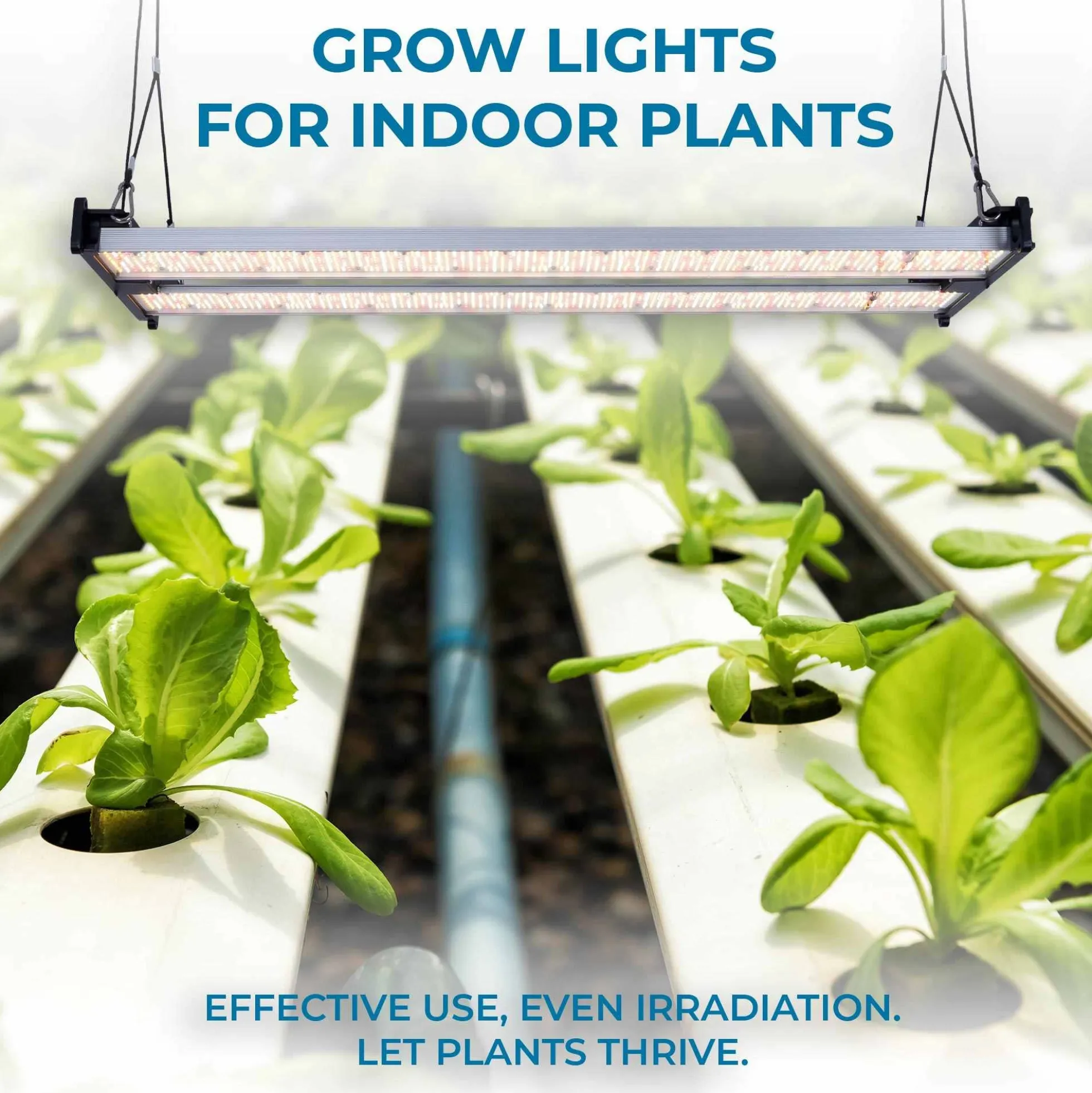 Luminaria LED de cultivo interior - 250W - Regulable 0-10V - Grow light Full Spectrum