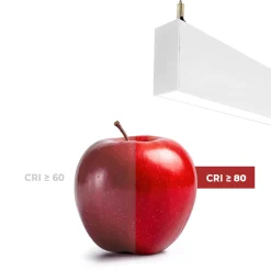 Luminaria lineal LED CCT - Bidireccional - Suspensión - Potencia ajustable 20W/30W/40W - 120cm - UGR 19