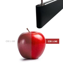 Luminaria lineal LED CCT - Bidireccional - Suspensión - Potencia ajustable 20W/30W/40W - 120cm - UGR 17