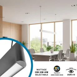 Luminaria lineal LED CCT - Suspensión - Potencia ajustable 20W/30W/40W - 120cm - UGR 19
