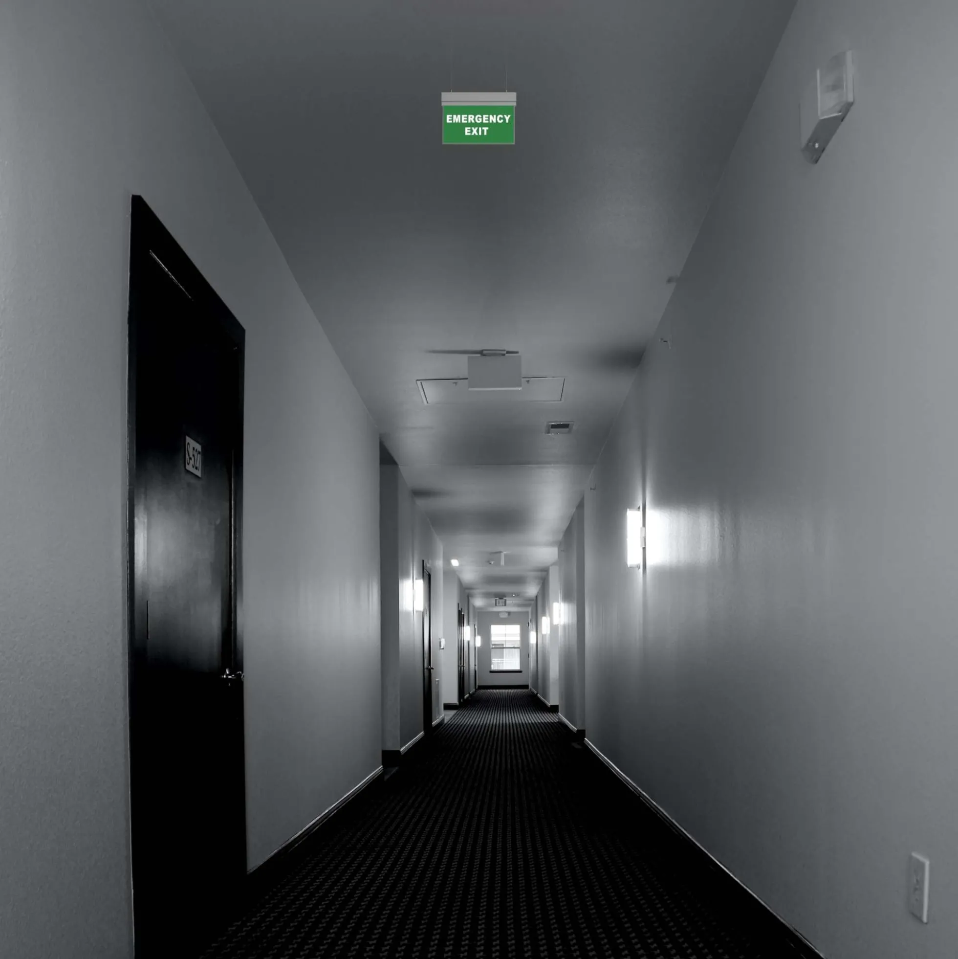 Luz de emergencia permanente con cartel "SALIDA DE EMERGENCIA" - Suspensión