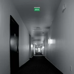 Luz de emergencia permanente con cartel "Uscita di emergenza" - Suspensión