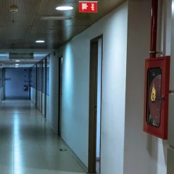 Luz de emergencia permanente con pictograma