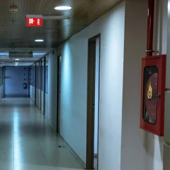Luz de emergencia permanente con pictograma 