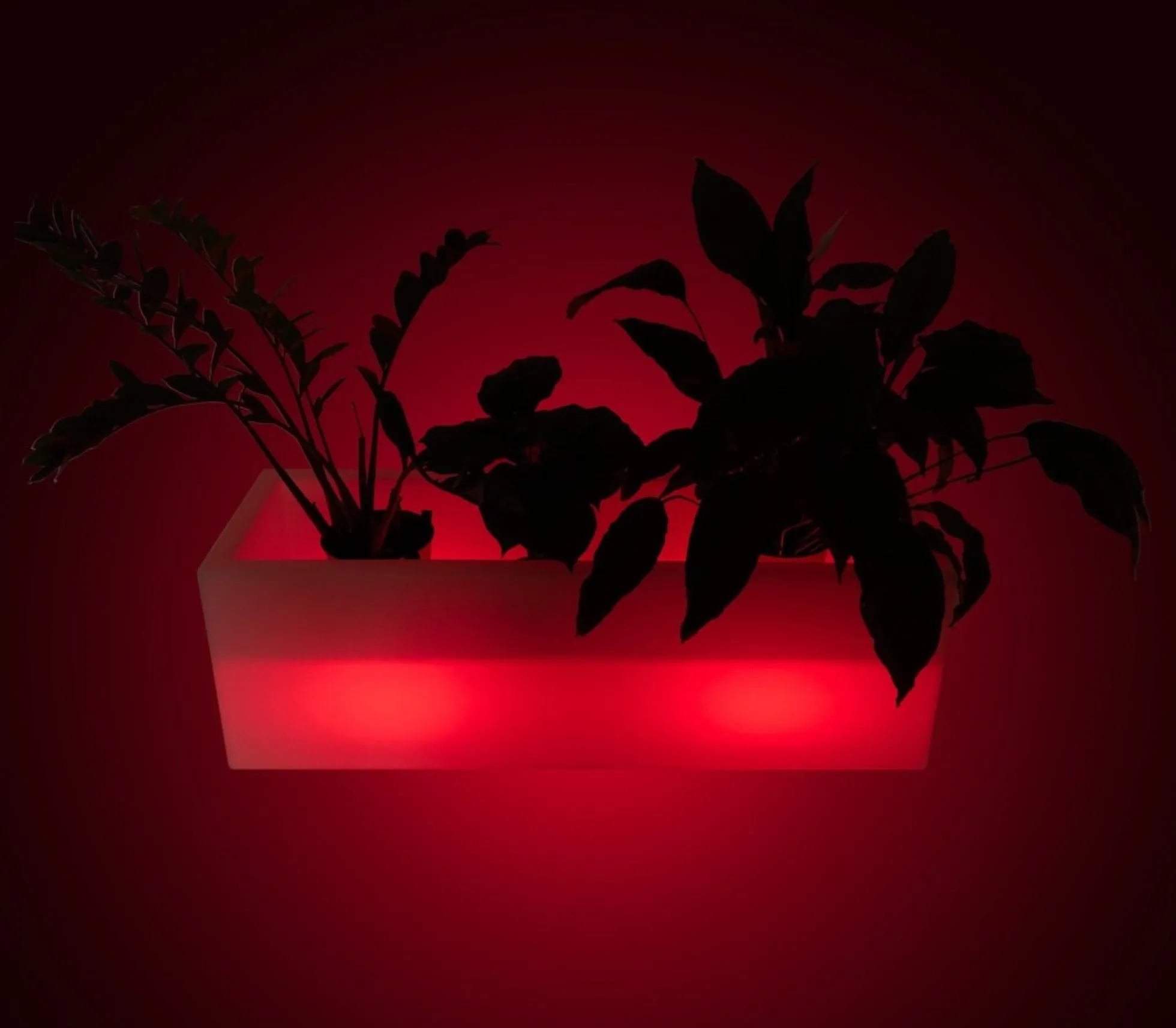 Macetero LED RGBW recargable - 12W - IP67