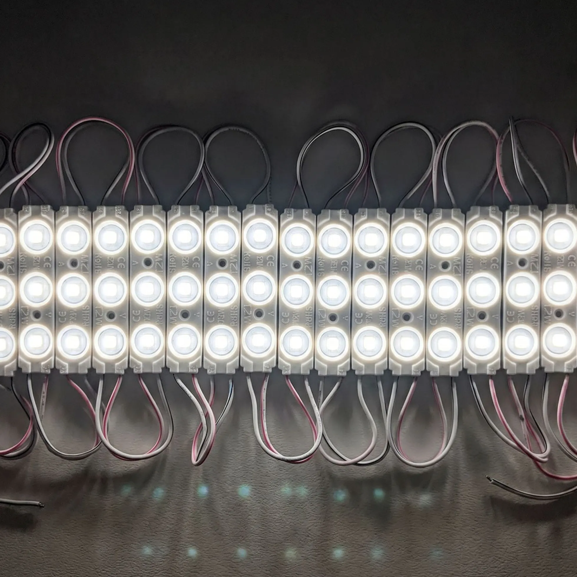 Módulo LED monocolor para rótulos - 1.2W - 12V - 160° - IP65