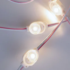 Módulo LED monocolor para rótulos - 0.5W - 12V DC - IP66 - 170º