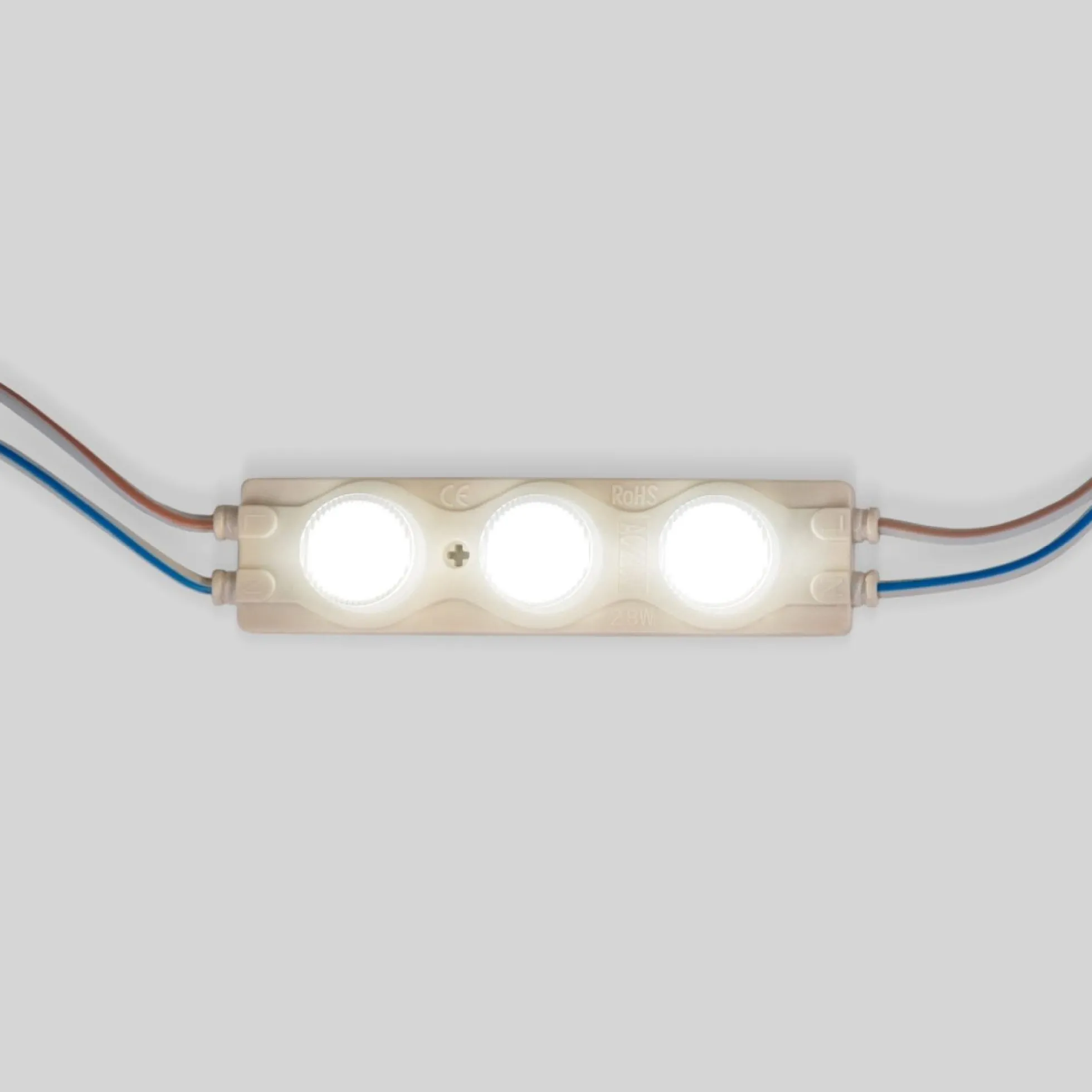 Módulo LED monocolor para rótulos - 3W - 220V AC - IP65 - 16º