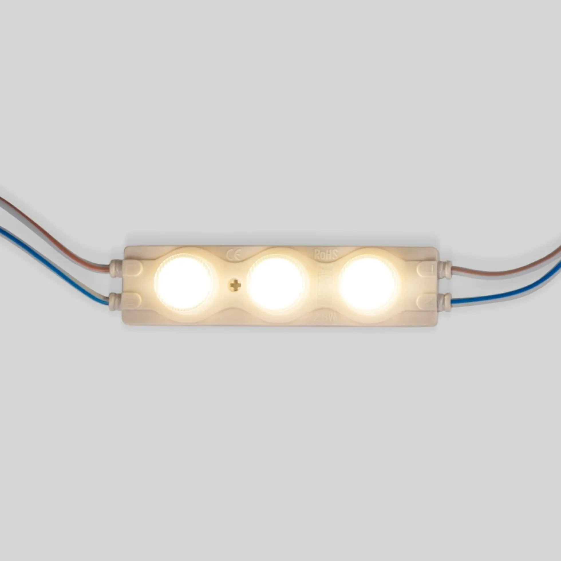 Módulo LED monocolor para rótulos - 3W - 220V AC - IP65 - 16º