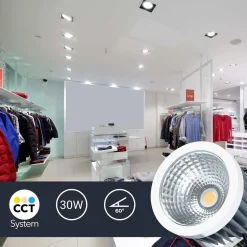 Módulo LED 30W QR111- CCT - Driver externo - 60° - CRI 90
