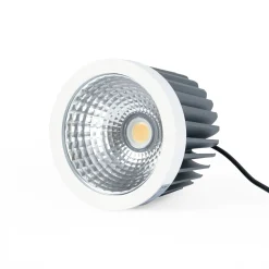 Módulo LED 30W QR111- CCT - Driver externo - 60° - CRI 90