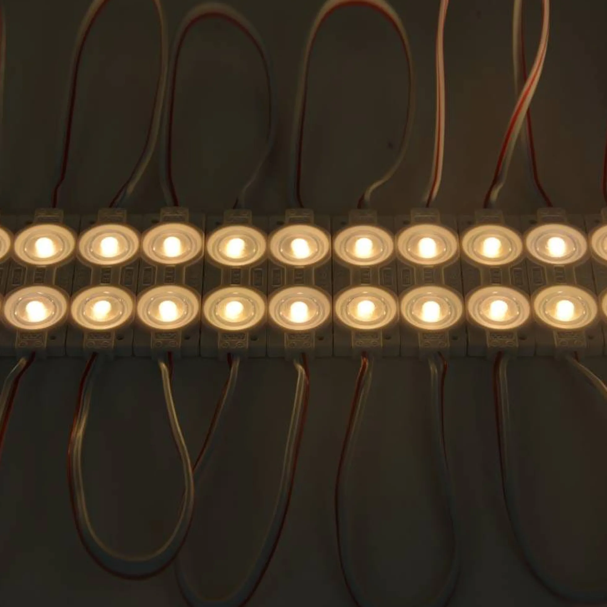 Módulo LED - 2xSMD2835 - 0,8W - 12V - IP65 - 170º