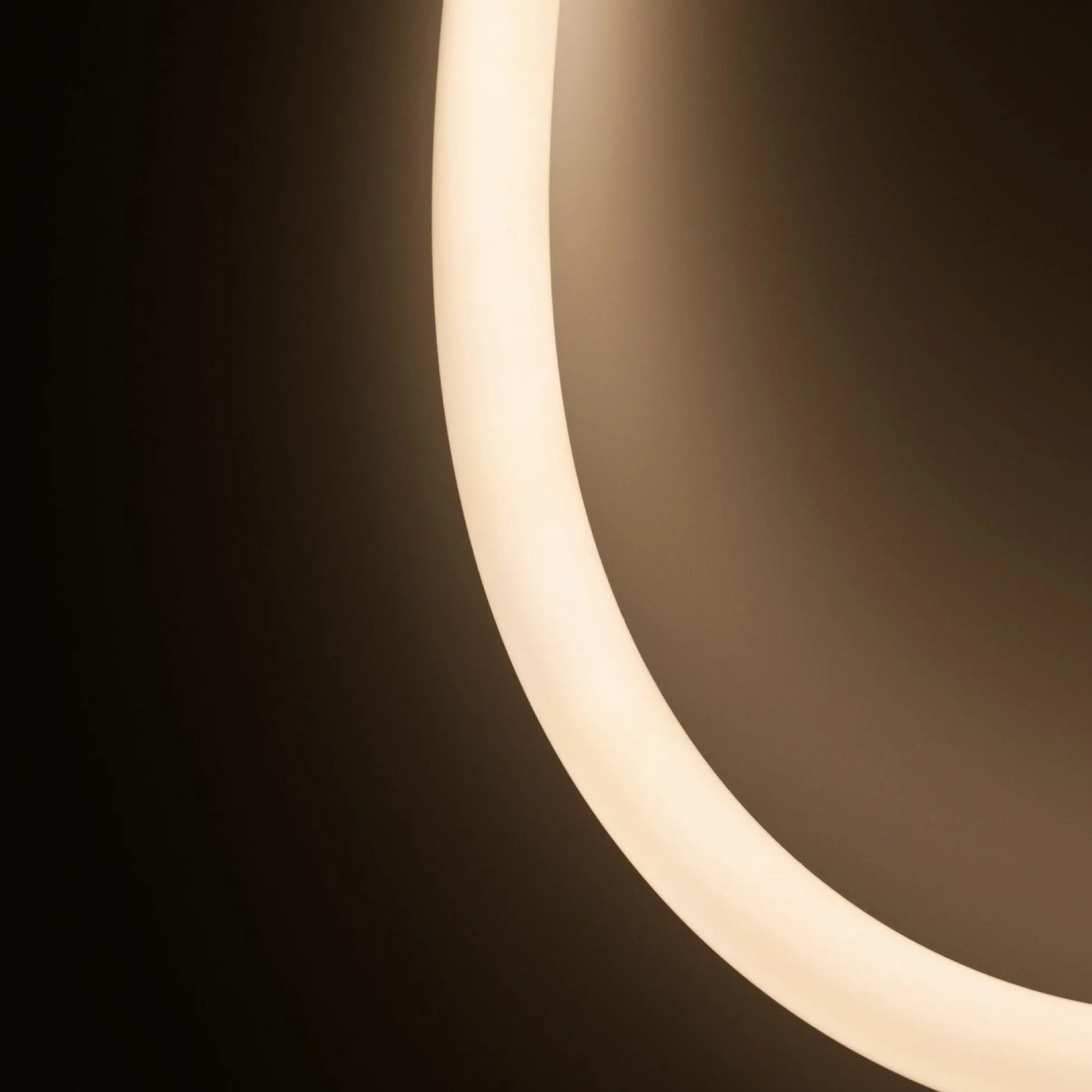 Neón LED flexible 360º circular - Ø22mm - 5 metros - 24V DC - 240Ch/m - 19,2W/m - IP65