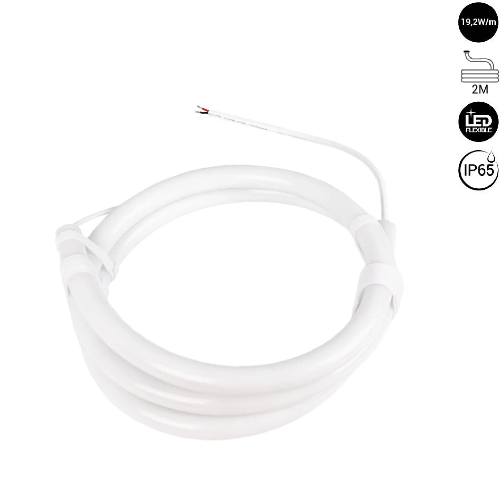 Neón LED flexible 360º circular - Ø22mm - 2 metros - 24V DC - 240Ch/m - 19,2W/m - IP65