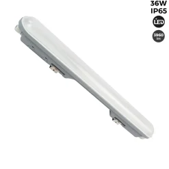 Pack x 12 - Pantalla estanca LED lineal enlazable 36W  - 120cm - IP65