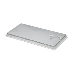 Panel Blue Skylight efecto cielo "SKYWIN SR" - Slim - Daylight - 45W - 60x30cm