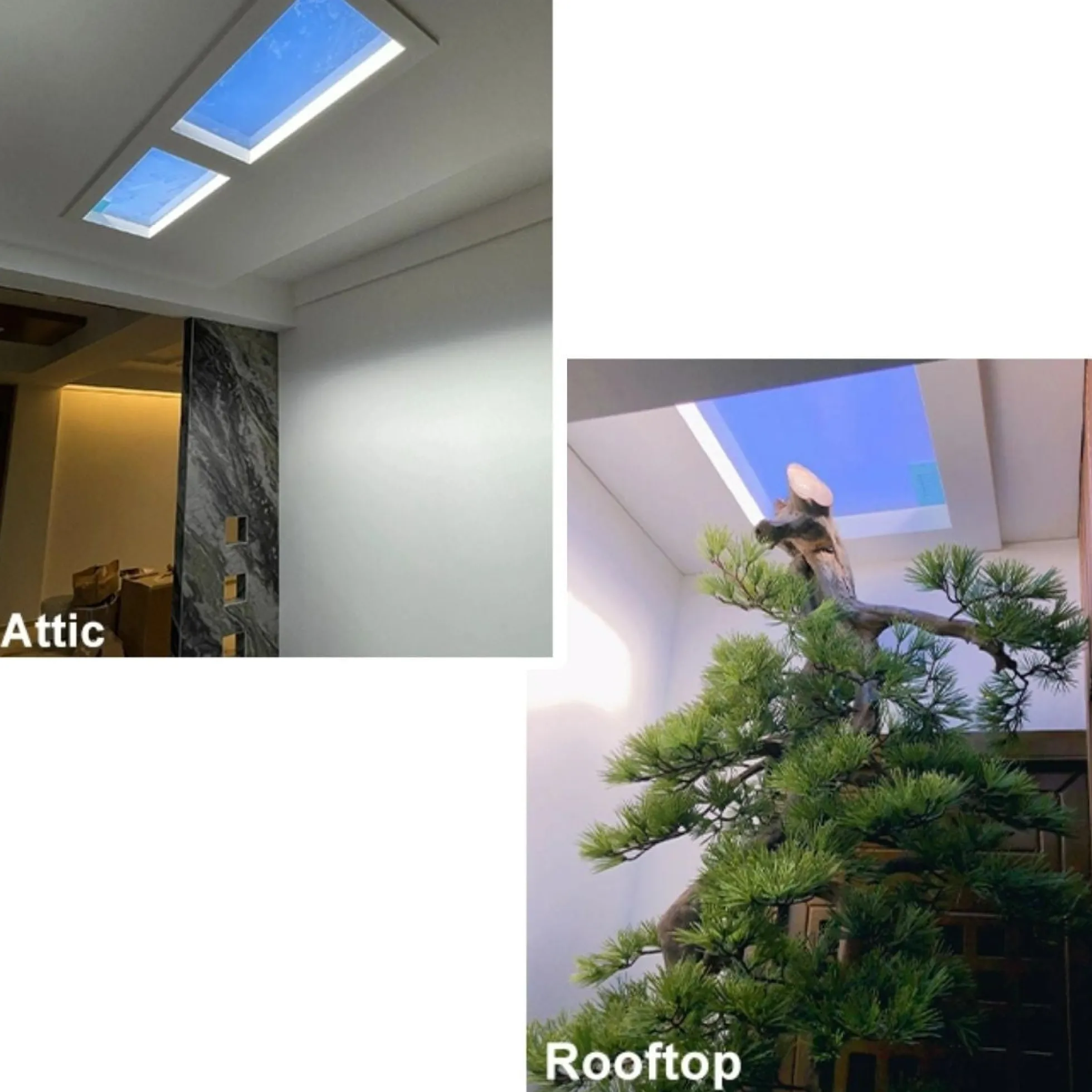 Panel LED "SMART Blue Skylight" - Efecto cielo - Daylight - 50W - 60x30cm