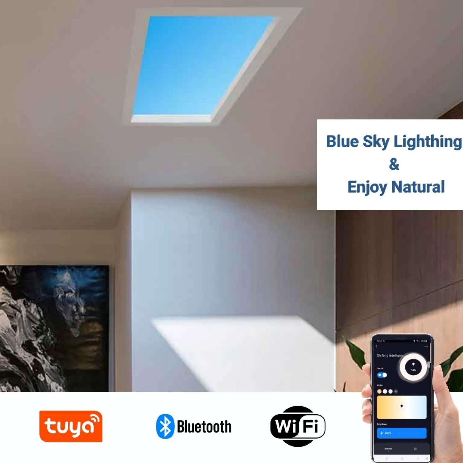 Panel LED "SMART Blue Skylight" - Efecto cielo - Daylight - 50W - 60x30cm