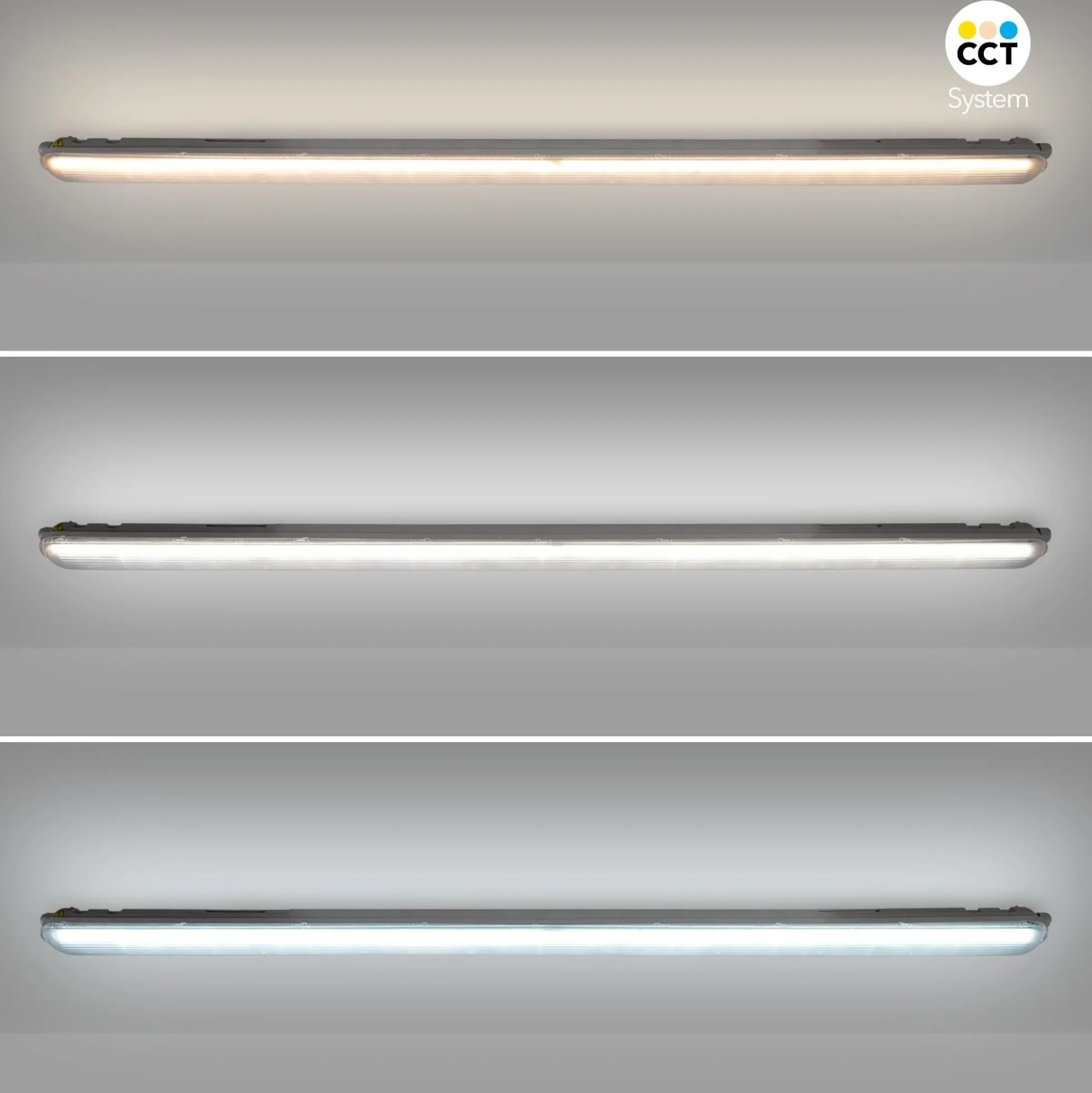 Pantalla estanca LED lineal enlazable- Regulable DALI - CCT - 150cm - 55W - Driver LIFUD - IP65