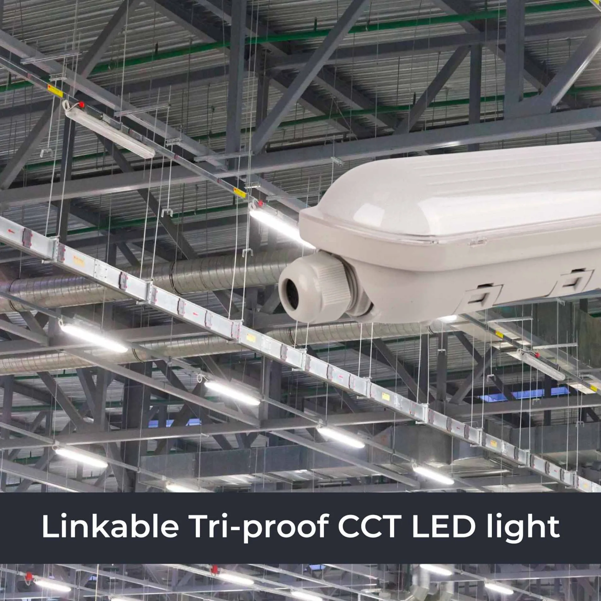 Pantalla estanca LED lineal enlazable Regulable DALI - CCT - 120cm - 40W - DALI - Driver LIFUD - IP65