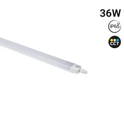 Pantalla estanca LED - 36W - CCT - 120cm - IP65