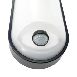 Plafón LED exterior ovalado con sensor PIR - 15W - CCT - IP65