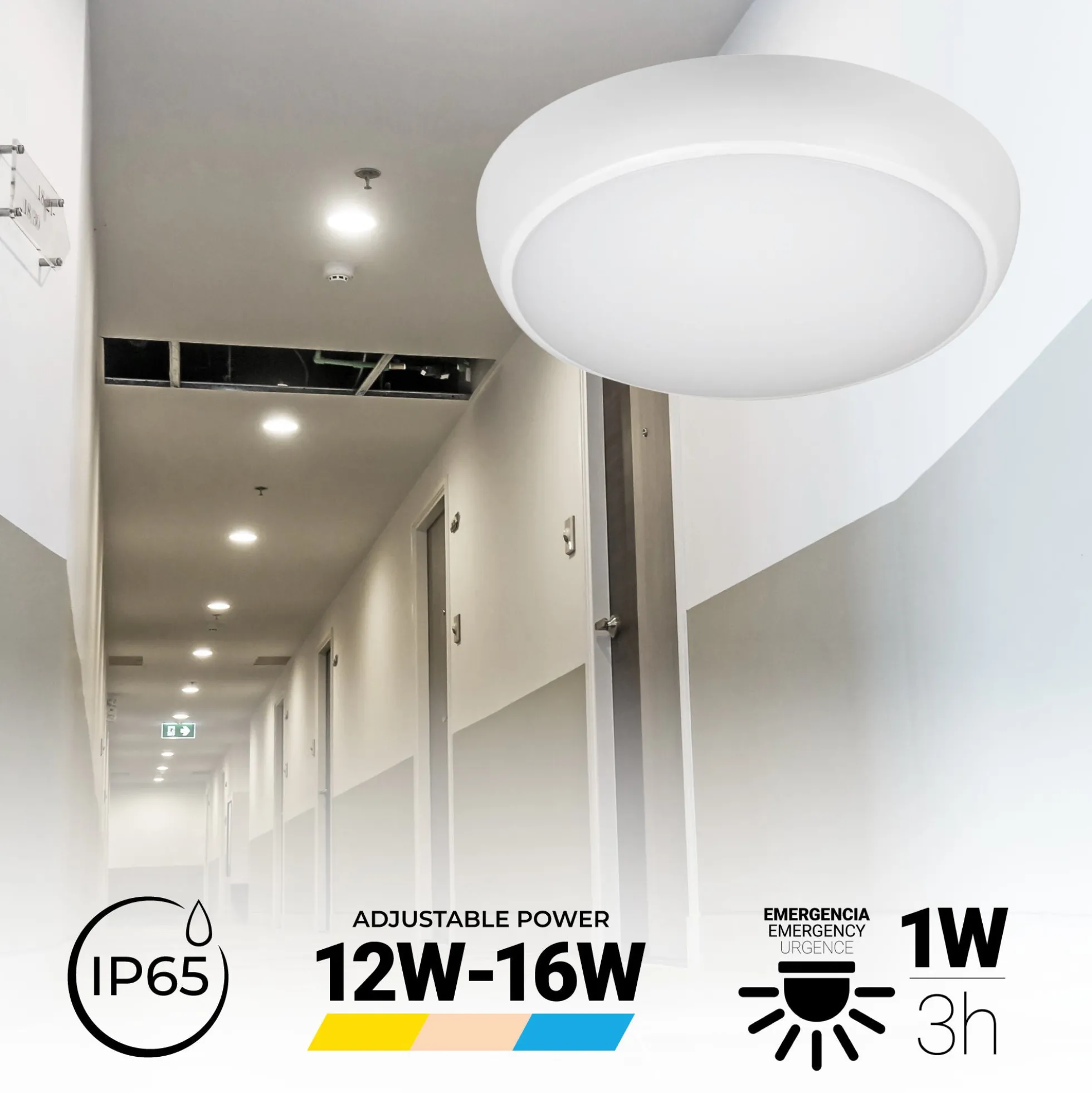 Plafón LED techo estanco / Luz de emergencia - CCT - Potencia ajustable 12W-16W - Ø31cm - IP65