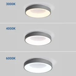 Plafón LED techo 30W - CCT - Driver Philips - ø40cm - IP20