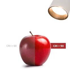 Proyector LED arquitectónico para carril trifásico CCT - 20W - CRI 90 - Driver KGP