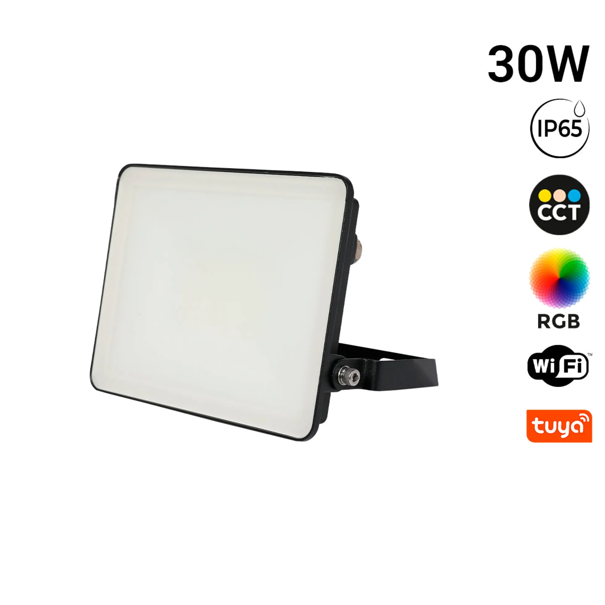 Proyector LED de exterior - RGBCCT - 30W - control WIFI/TUYA APP - IP65