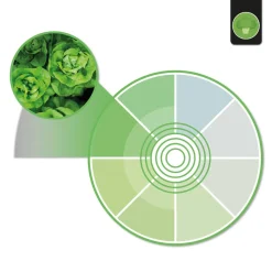 Proyector LED para carril monofásico 40W - Fruterías y verdulerías