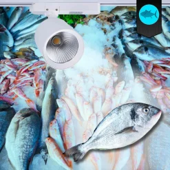 Proyector LED para carril monofásico 40W - Pescados y Mariscos