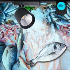 Proyector LED para carril monofásico 40W - Pescados y Mariscos