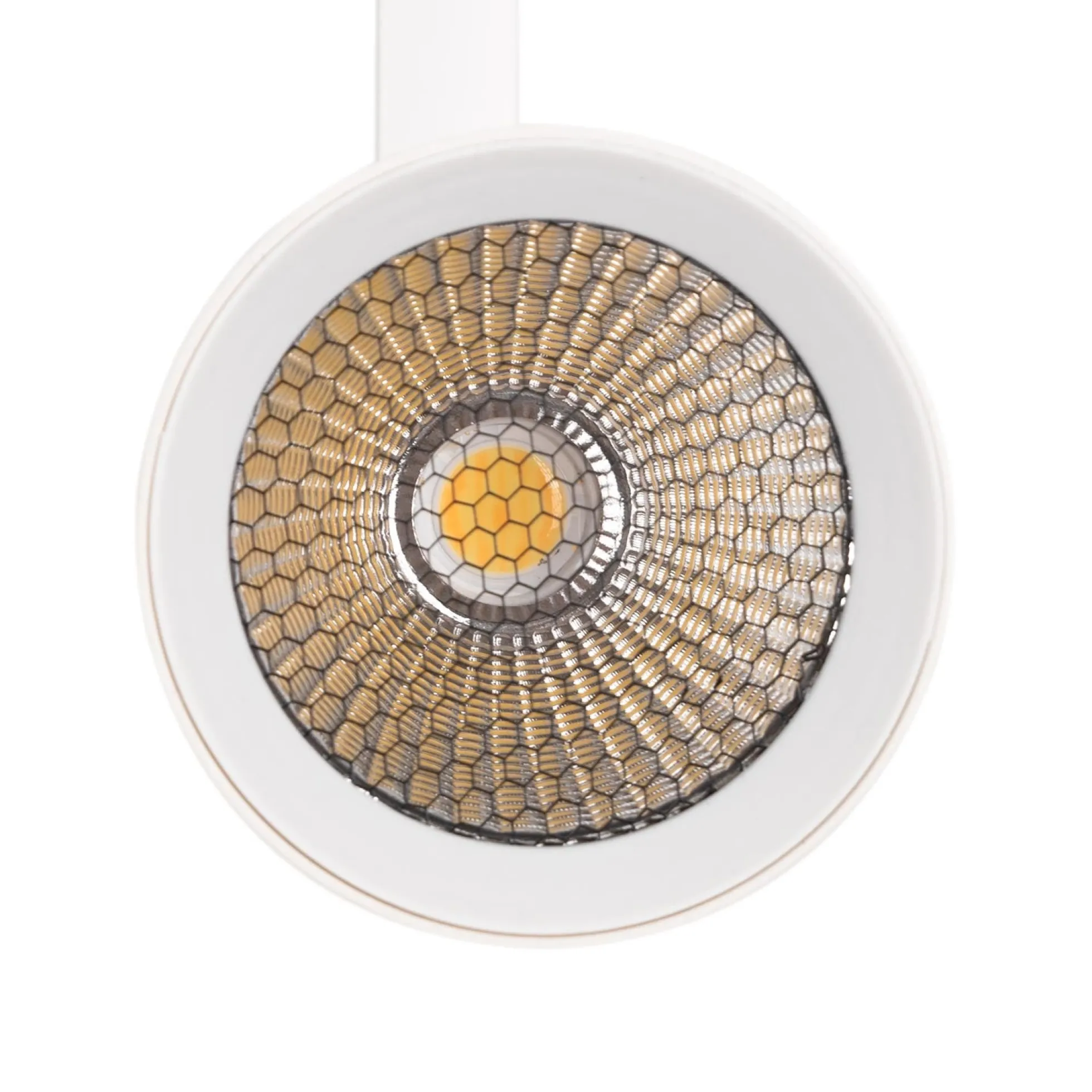 Proyector LED para carril trifásico 20W - CCT - CRI90 - 1900 lm
