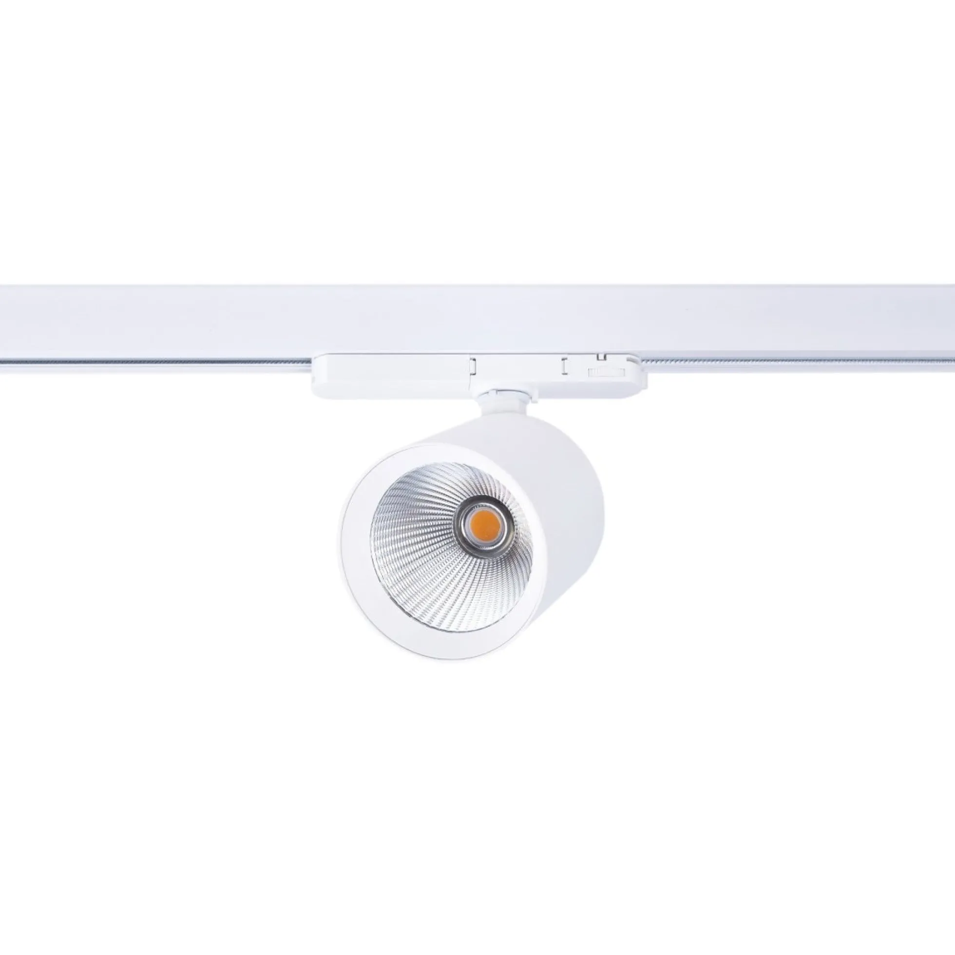 Proyector LED para carril trifásico 40W - Carnicerías - Driver Philips Xitanium