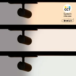 Proyector LED para carril trifásico 20W - DALI - CCT - CRI90 - Chip OSRAM